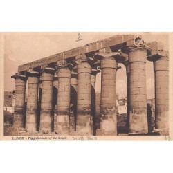 Rare collectable postcards of EGYPT Belgique België. Vintage Postcards of EGYPT Belgique België