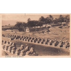 Rare collectable postcards of EGYPT Belgique België. Vintage Postcards of EGYPT Belgique België