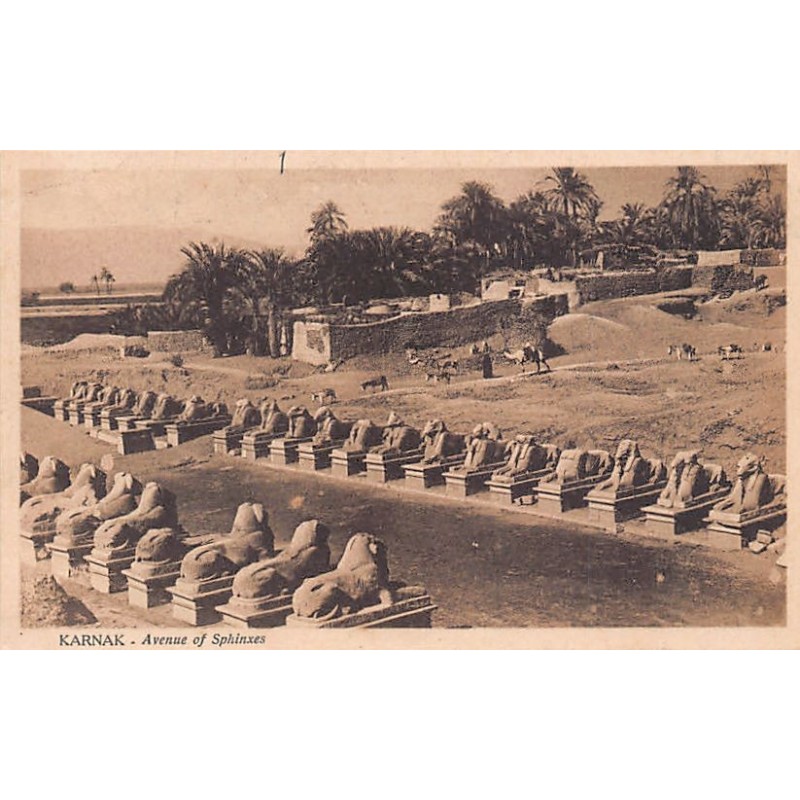 Rare collectable postcards of EGYPT Belgique België. Vintage Postcards of EGYPT Belgique België