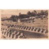 Rare collectable postcards of EGYPT Belgique België. Vintage Postcards of EGYPT Belgique België