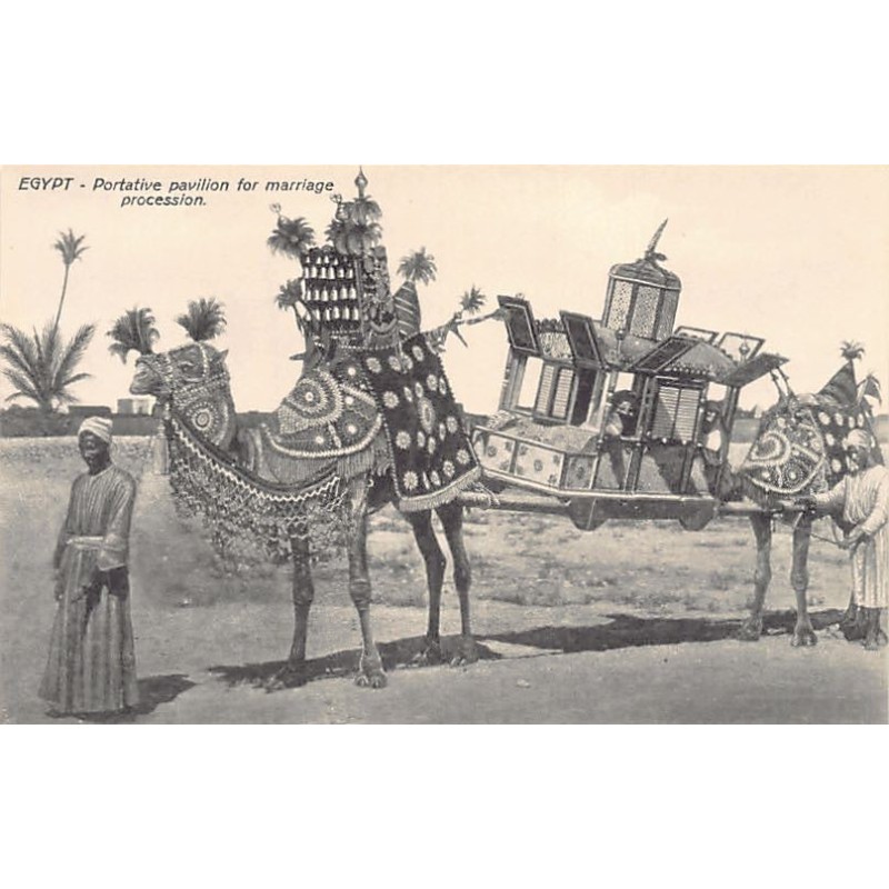 Rare collectable postcards of EGYPT Belgique België. Vintage Postcards of EGYPT Belgique België