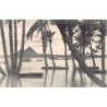 Rare collectable postcards of EGYPT Belgique België. Vintage Postcards of EGYPT Belgique België