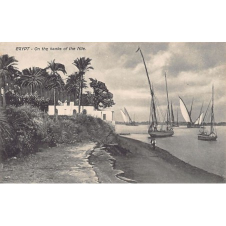 Rare collectable postcards of EGYPT Belgique België. Vintage Postcards of EGYPT Belgique België