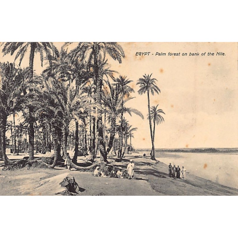 Rare collectable postcards of EGYPT Belgique België. Vintage Postcards of EGYPT Belgique België