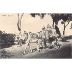 Rare collectable postcards of EGYPT Belgique België. Vintage Postcards of EGYPT Belgique België