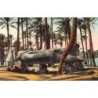 Rare collectable postcards of EGYPT Belgique België. Vintage Postcards of EGYPT Belgique België