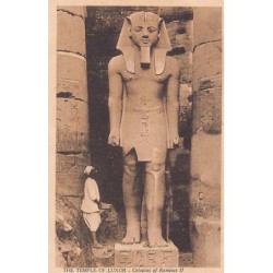 Rare collectable postcards of EGYPT Belgique België. Vintage Postcards of EGYPT Belgique België
