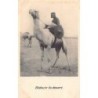 Rare collectable postcards of EGYPT Belgique België. Vintage Postcards of EGYPT Belgique België