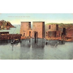 Rare collectable postcards of EGYPT Belgique België. Vintage Postcards of EGYPT Belgique België