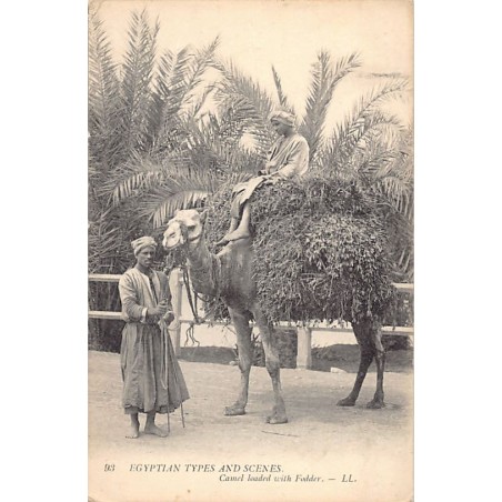 Rare collectable postcards of EGYPT Belgique België. Vintage Postcards of EGYPT Belgique België