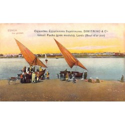 Rare collectable postcards of EGYPT Belgique België. Vintage Postcards of EGYPT Belgique België