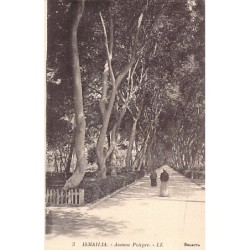 Rare collectable postcards of EGYPT Belgique België. Vintage Postcards of EGYPT Belgique België
