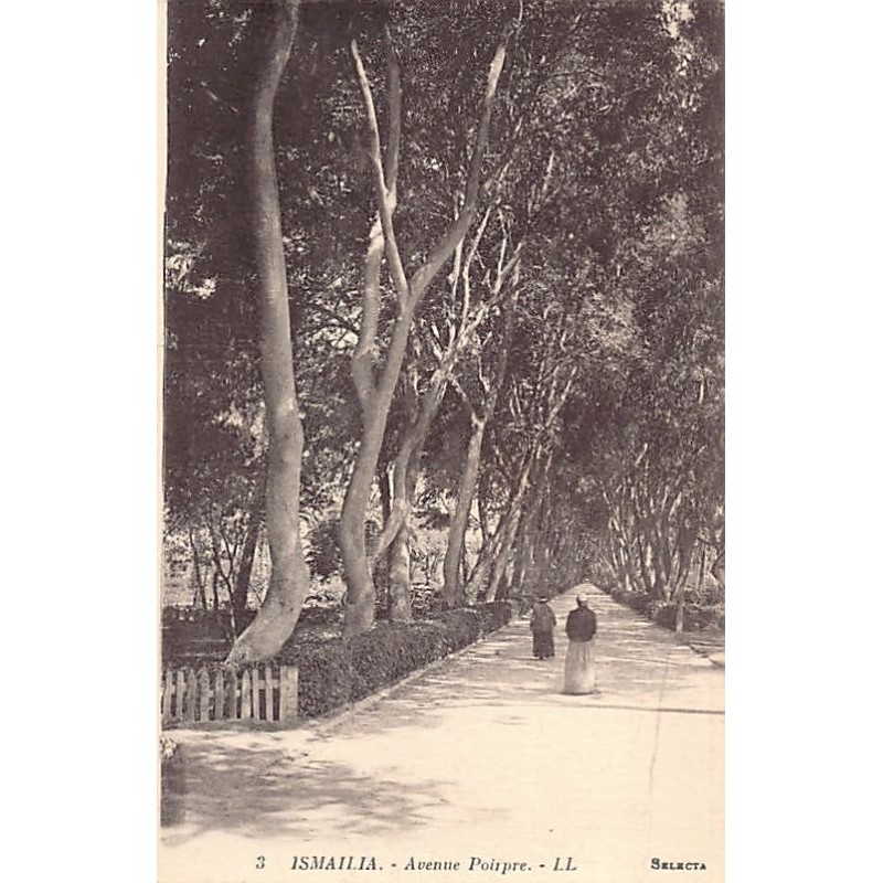 Rare collectable postcards of EGYPT Belgique België. Vintage Postcards of EGYPT Belgique België