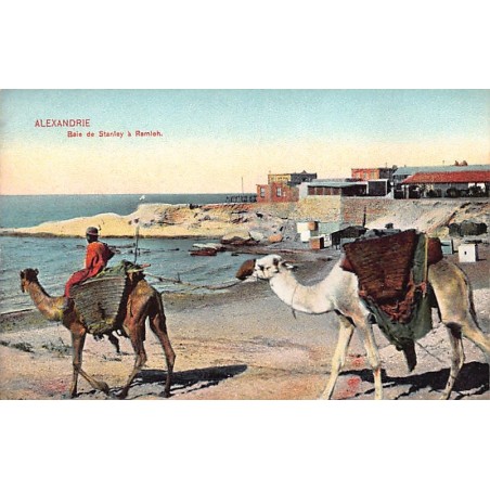 Rare collectable postcards of EGYPT Belgique België. Vintage Postcards of EGYPT Belgique België
