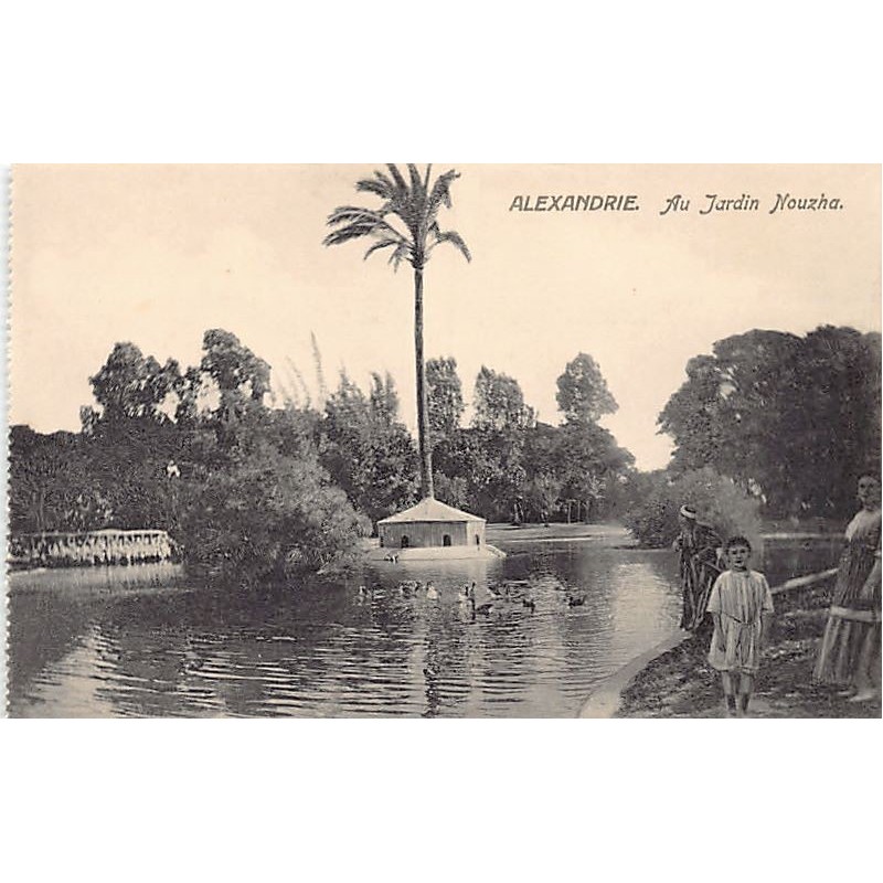 Rare collectable postcards of EGYPT Belgique België. Vintage Postcards of EGYPT Belgique België