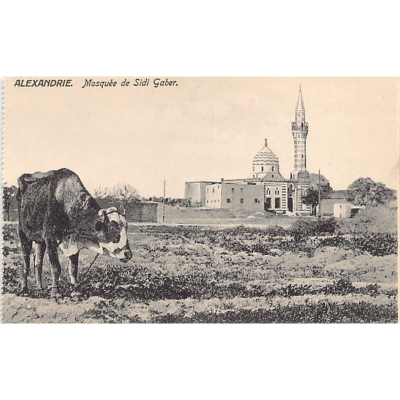 Rare collectable postcards of EGYPT Belgique België. Vintage Postcards of EGYPT Belgique België