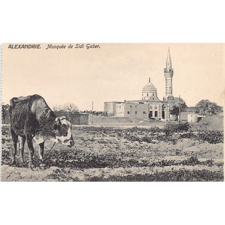 Rare collectable postcards of EGYPT Belgique België. Vintage Postcards of EGYPT Belgique België