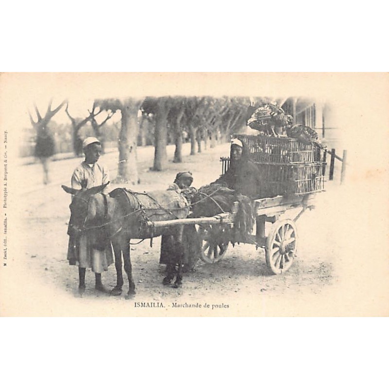 Rare collectable postcards of EGYPT Belgique België. Vintage Postcards of EGYPT Belgique België