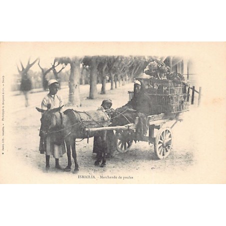Rare collectable postcards of EGYPT Belgique België. Vintage Postcards of EGYPT Belgique België