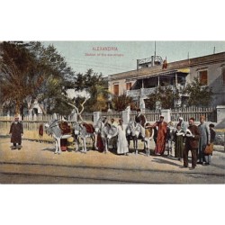 Rare collectable postcards of EGYPT Belgique België. Vintage Postcards of EGYPT Belgique België