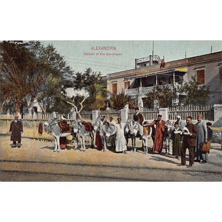 Rare collectable postcards of EGYPT Belgique België. Vintage Postcards of EGYPT Belgique België