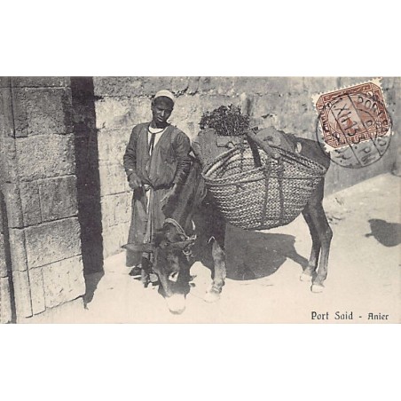 Rare collectable postcards of EGYPT Belgique België. Vintage Postcards of EGYPT Belgique België