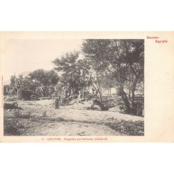 Rare collectable postcards of EGYPT Belgique België. Vintage Postcards of EGYPT Belgique België