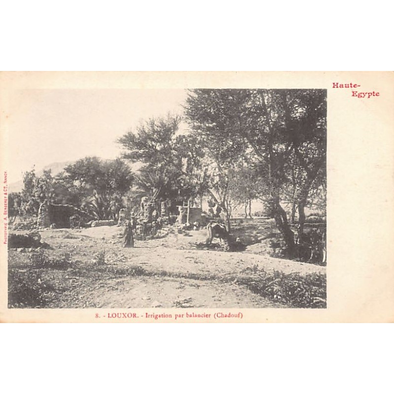 Rare collectable postcards of EGYPT Belgique België. Vintage Postcards of EGYPT Belgique België