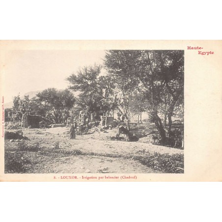 Rare collectable postcards of EGYPT Belgique België. Vintage Postcards of EGYPT Belgique België