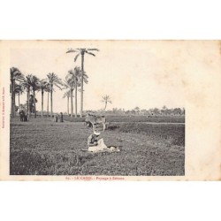 Rare collectable postcards of EGYPT Belgique België. Vintage Postcards of EGYPT Belgique België