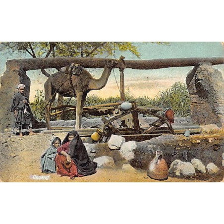 Rare collectable postcards of EGYPT Belgique België. Vintage Postcards of EGYPT Belgique België
