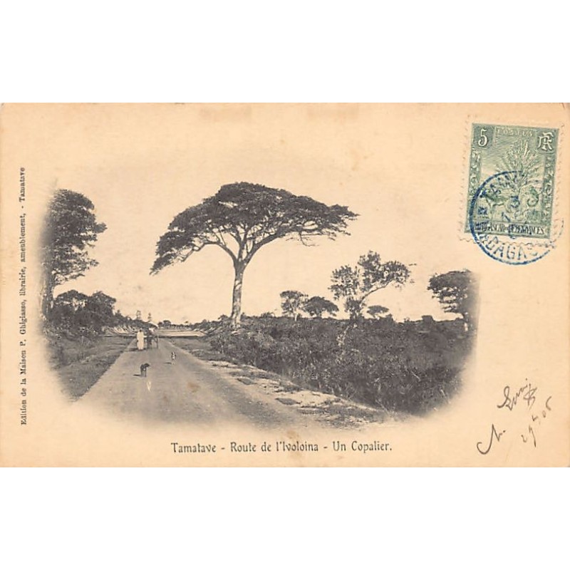 Rare collectable postcards of MADAGASCAR Belgique België. Vintage Postcards of MADAGASCAR Belgique België