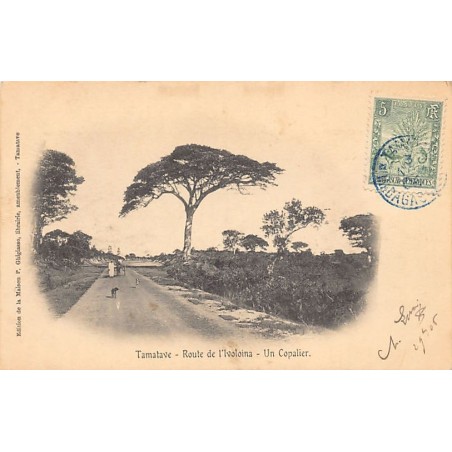 Rare collectable postcards of MADAGASCAR Belgique België. Vintage Postcards of MADAGASCAR Belgique België
