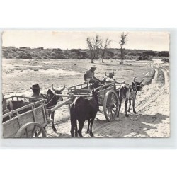Rare collectable postcards of MADAGASCAR Belgique België. Vintage Postcards of MADAGASCAR Belgique België