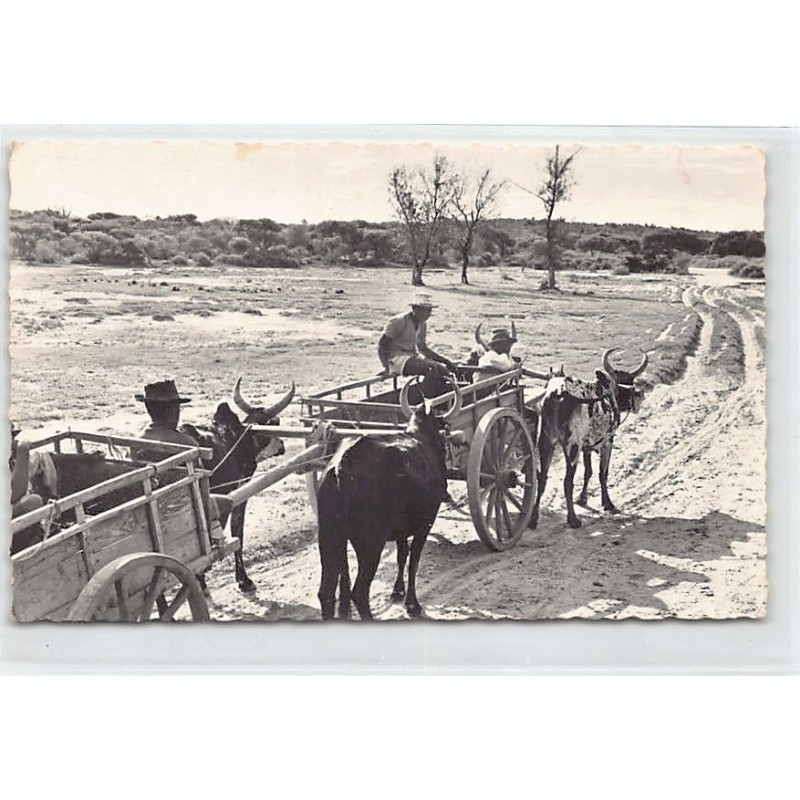 Rare collectable postcards of MADAGASCAR Belgique België. Vintage Postcards of MADAGASCAR Belgique België