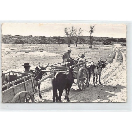 Rare collectable postcards of MADAGASCAR Belgique België. Vintage Postcards of MADAGASCAR Belgique België