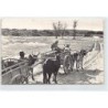 Rare collectable postcards of MADAGASCAR Belgique België. Vintage Postcards of MADAGASCAR Belgique België