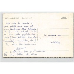 Rare collectable postcards of MADAGASCAR Belgique België. Vintage Postcards of MADAGASCAR Belgique België