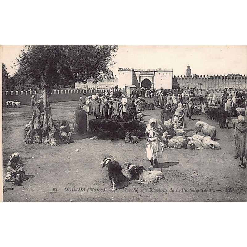 Rare collectable postcards of MOROCCO Maroc Belgique België. Vintage Postcards of MOROCCO Maroc Belgique België