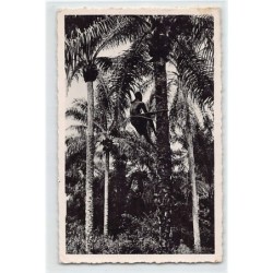 Rare collectable postcards of BÉNIN Belgique België. Vintage Postcards of BÉNIN Belgique België