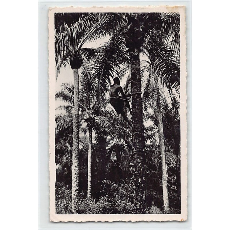 Rare collectable postcards of BÉNIN Belgique België. Vintage Postcards of BÉNIN Belgique België