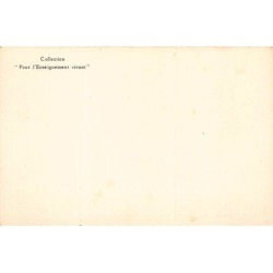 Rare collectable postcards of BURKINA FASO Belgique België. Vintage Postcards of BURKINA FASO Belgique België