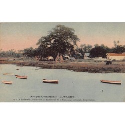 Rare collectable postcards of GUINEA CONAKRY Belgique België. Vintage Postcards of GUINEA CONAKRY Belgique België