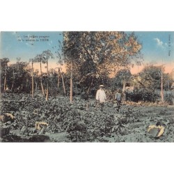 Rare collectable postcards of SENEGAL Belgique België. Vintage Postcards of SENEGAL Belgique België