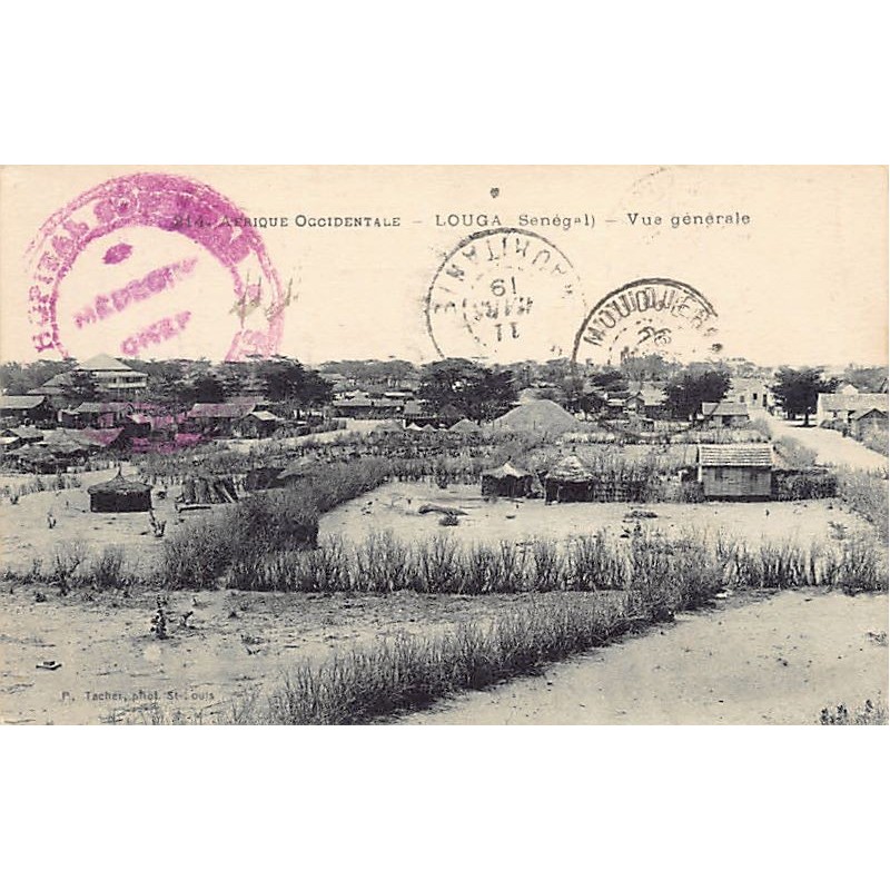 Rare collectable postcards of SENEGAL Belgique België. Vintage Postcards of SENEGAL Belgique België