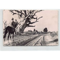 Rare collectable postcards of SENEGAL Belgique België. Vintage Postcards of SENEGAL Belgique België