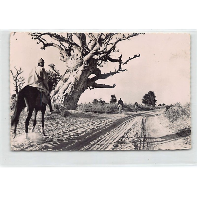 Rare collectable postcards of SENEGAL Belgique België. Vintage Postcards of SENEGAL Belgique België
