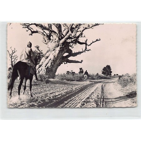 Rare collectable postcards of SENEGAL Belgique België. Vintage Postcards of SENEGAL Belgique België