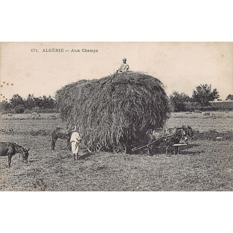 Rare collectable postcards of ALGERIA Algérie Belgique België. Vintage Postcards of ALGERIA Algérie Belgique België