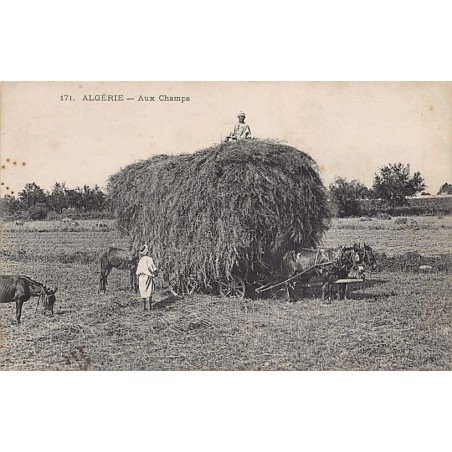 Rare collectable postcards of ALGERIA Algérie Belgique België. Vintage Postcards of ALGERIA Algérie Belgique België